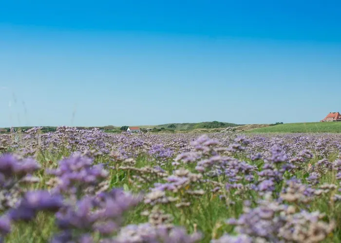 Wester Дом отдыха Шпикерог
