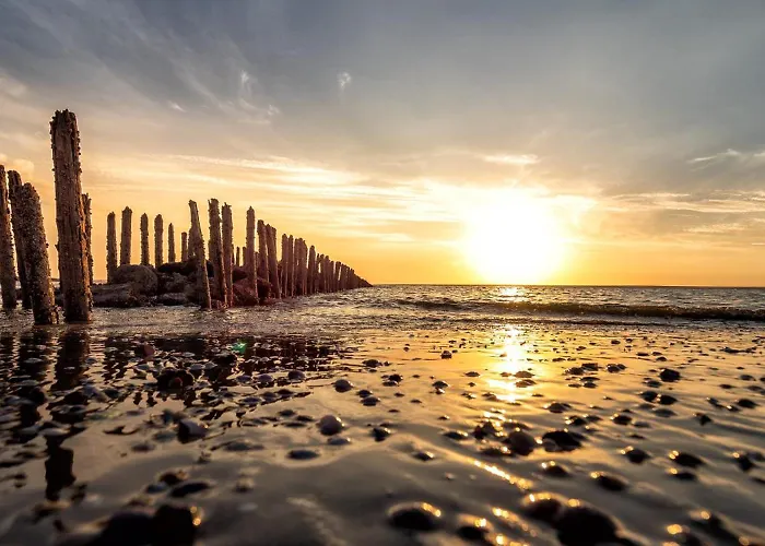 Wester Шпикерог